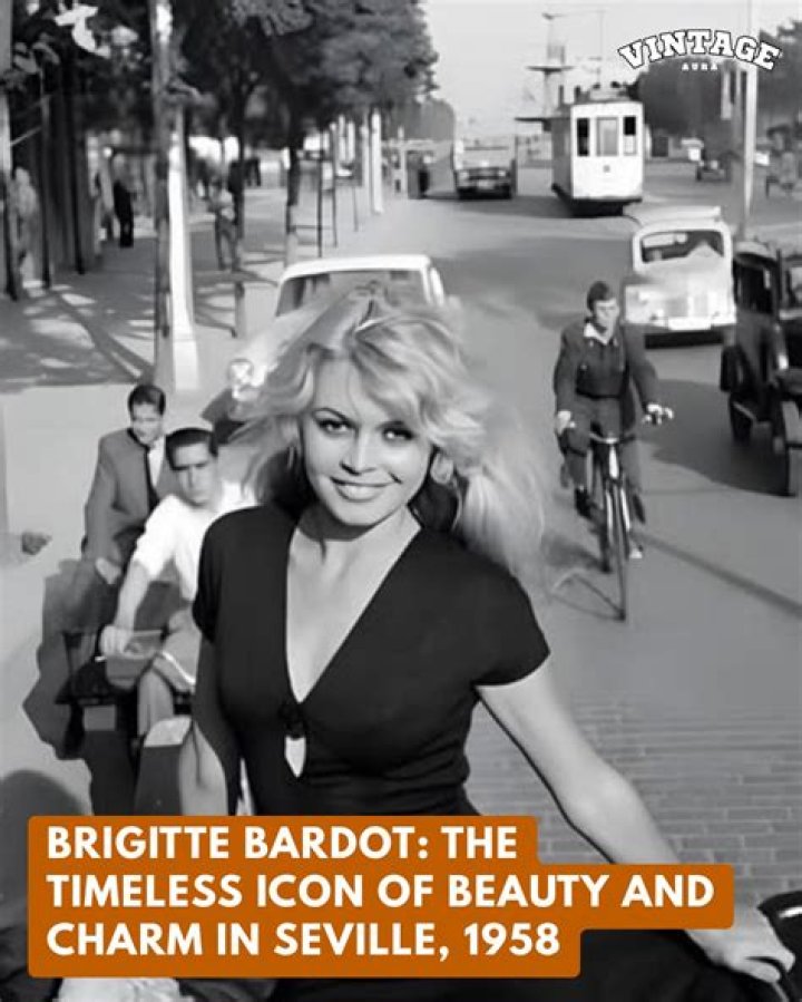 Bridgette Bardot: The Timeless Icon Of Beauty And Freedom