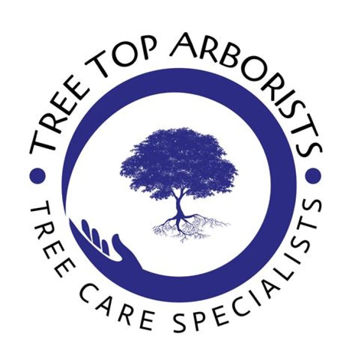DC's Top Arborists: Certified Tree Care In Washington