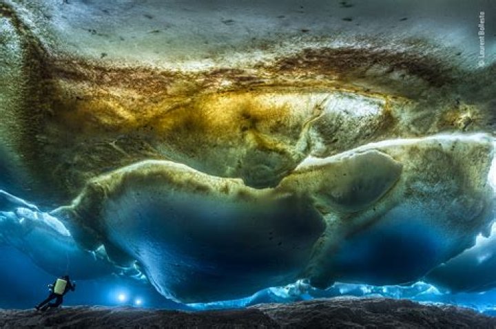Laurent Ballesta's Captivating Underwater Photography