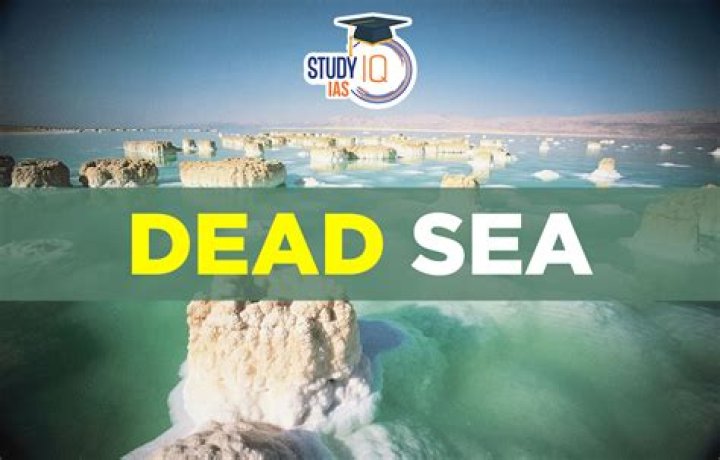 Live The Kibbutz Experience: Immerse In Community At The Dead Sea