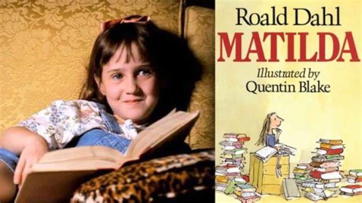 The Fascinating Encounter: Roald Dahl's Parents Meet Harald And Sofie