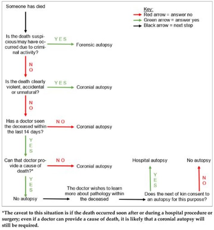 The Mysterious Case Of Tarrare: An Autopsy Analysis